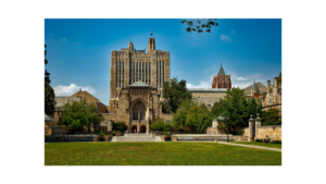 大学