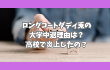 ロコディ炎上