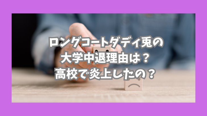 ロコディ炎上